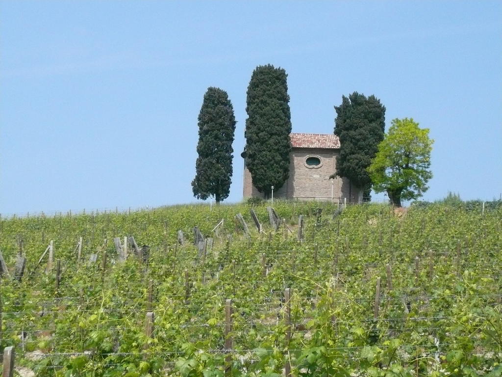 Agriturismo Relais "Il Bricco" Ница Монферато Екстериор снимка