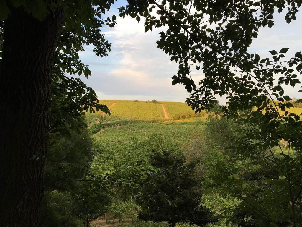 Agriturismo Relais "Il Bricco" Ница Монферато Екстериор снимка