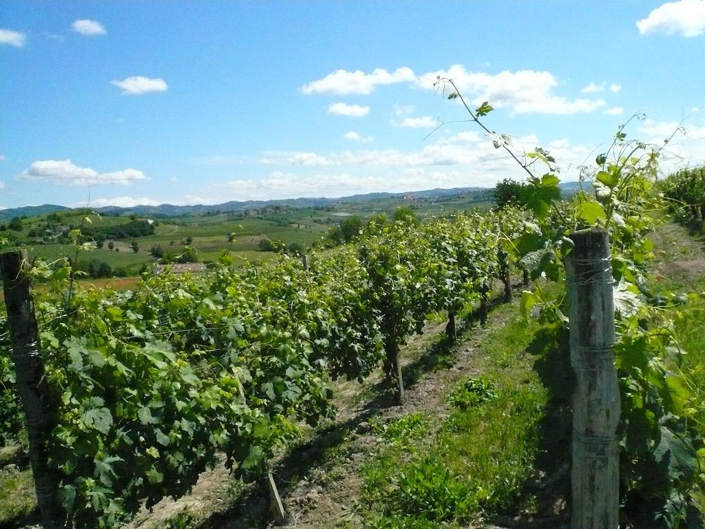Agriturismo Relais "Il Bricco" Ница Монферато Екстериор снимка